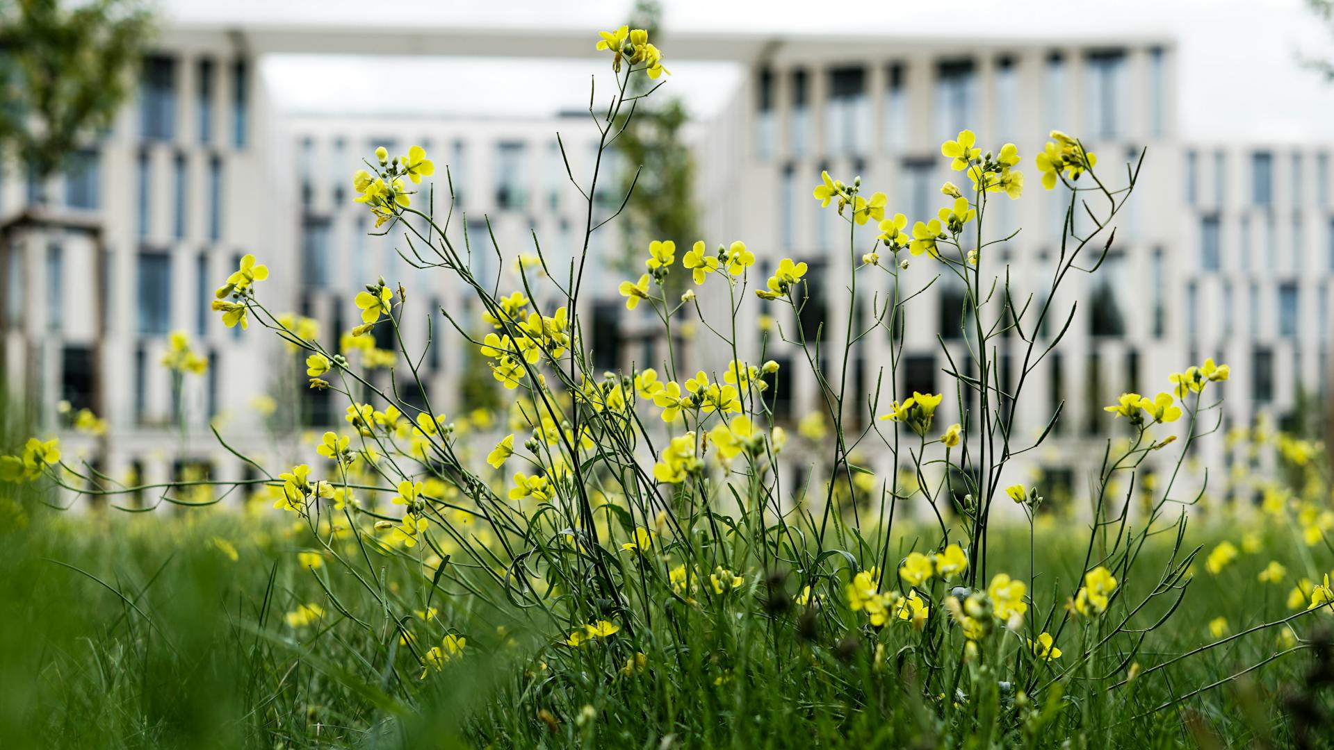 Hinweis zu geänderten Sprechzeiten am 15. Mai